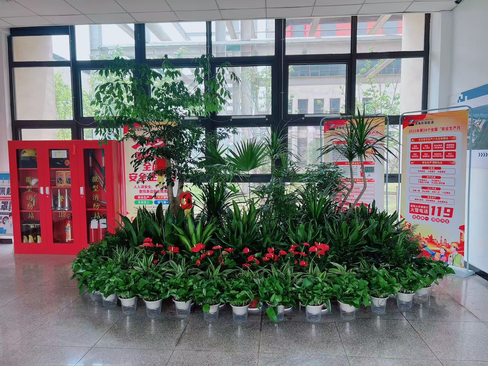 走进宁波镇海，花木租赁设计的奇妙之旅